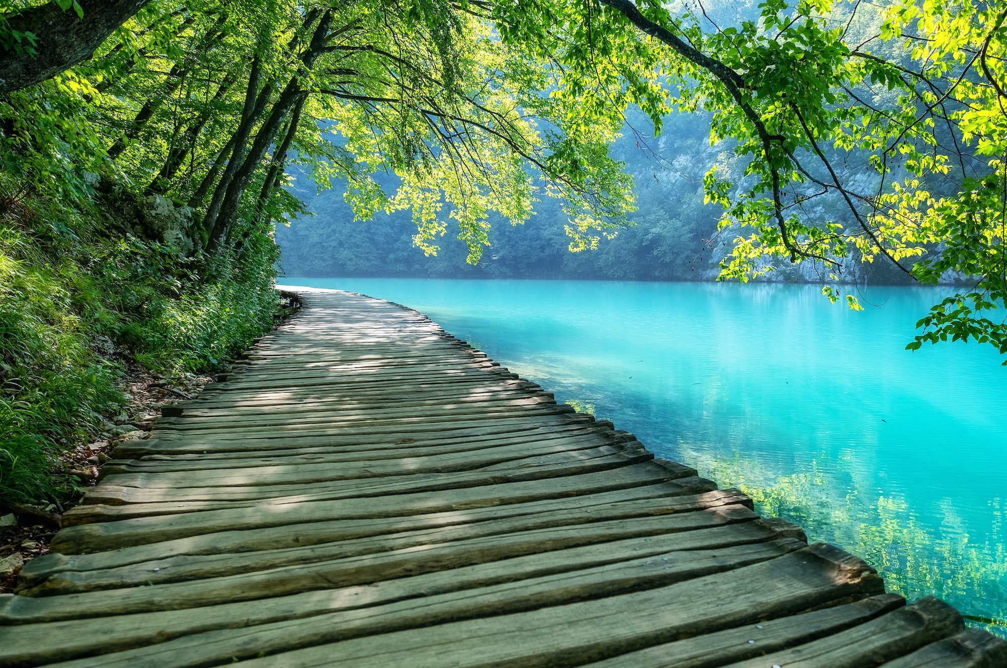 Plitvice lakes in Croatia. Footpath for hiking. Croatian travel image.