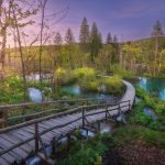 Wooden path in green forest in Plitvice Lakes, Croatia at sunset