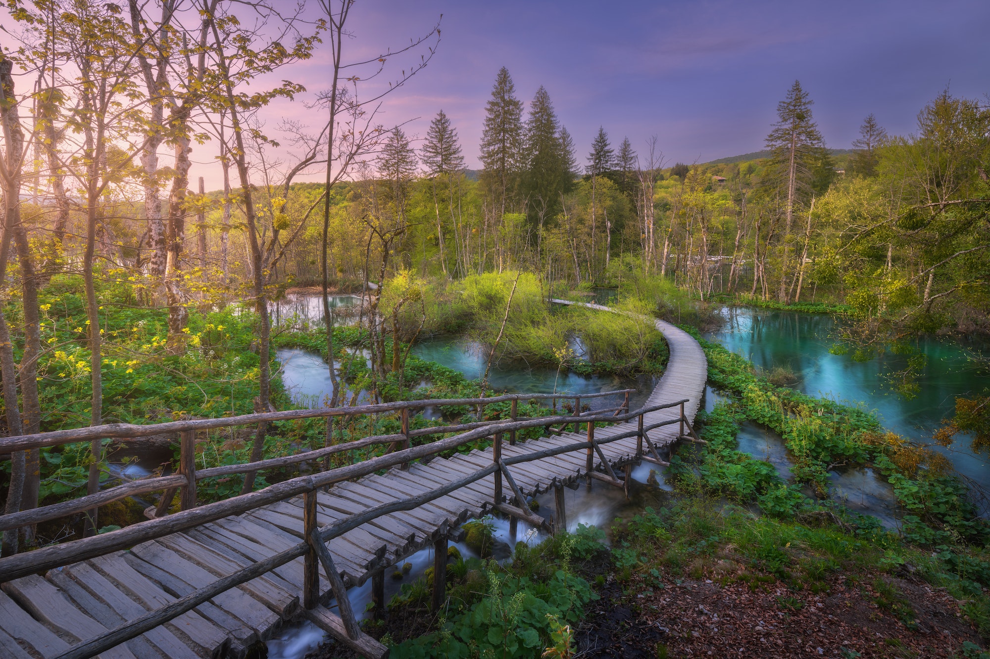 Wooden path in green forest in Plitvice Lakes, Croatia at sunset